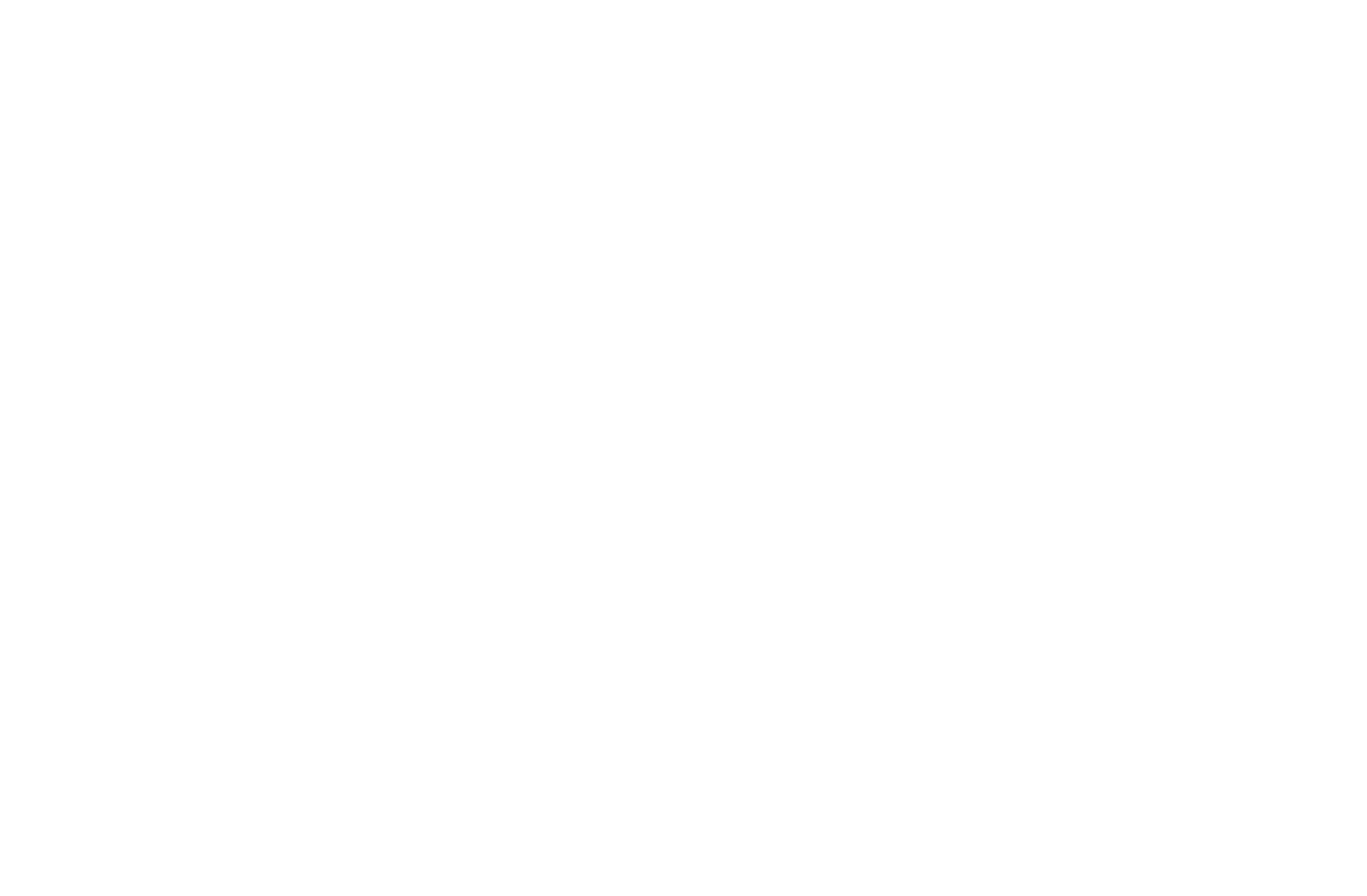 Louis Managment